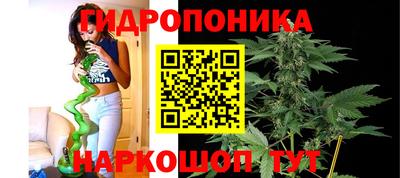 мдпв Кимры