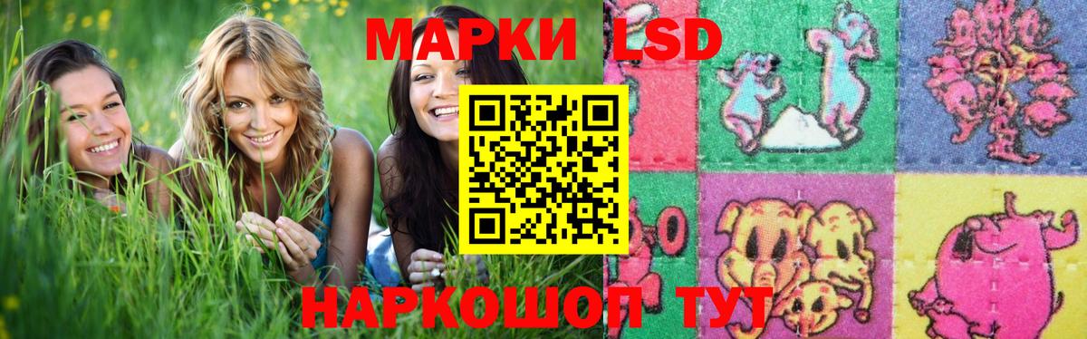 Лсд 25 экстази  ЛСД экстази кислота  Кондопога  Вход с VPN  LSD-25 экстази ecstasy 