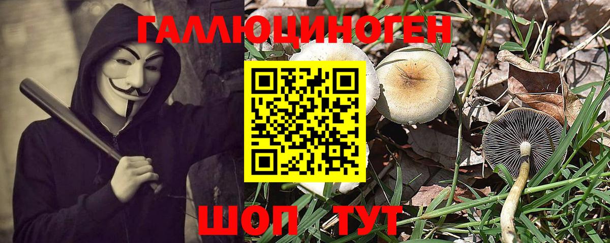 Псилоцибиновые грибы GOLDEN TEACHER Кондопога