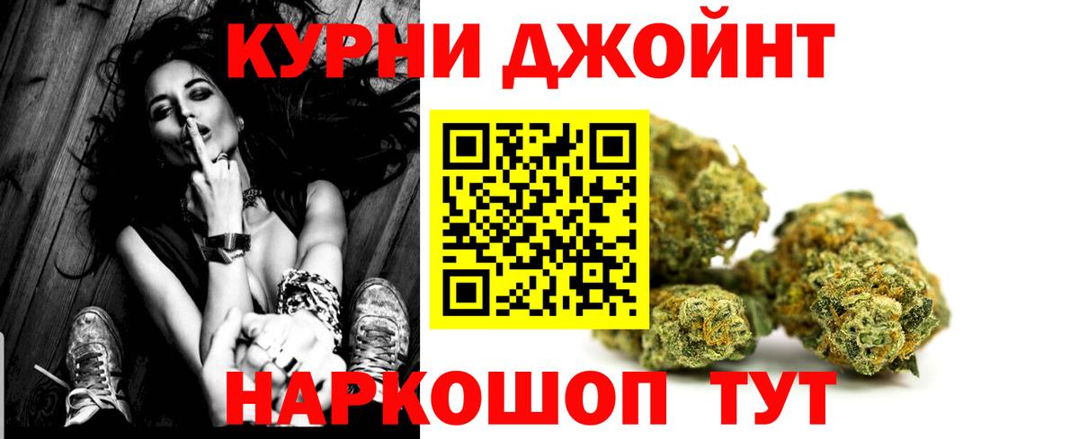 МАРИХУАНА сатива Кондопога